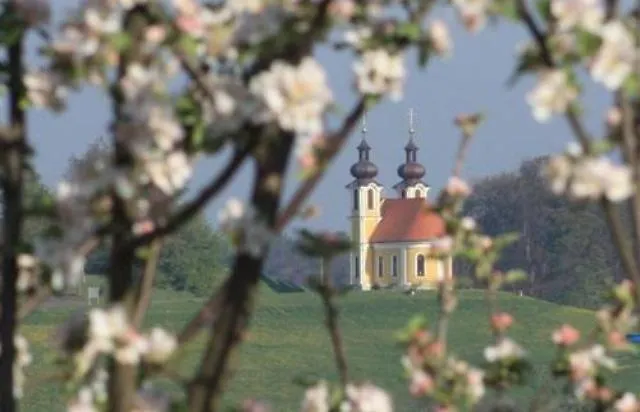 Гостевой дом Kronprinz-rudolf-hof Унтерлам