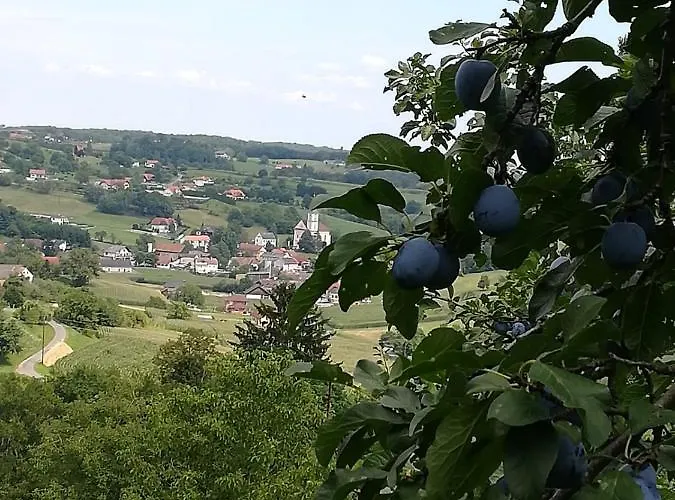 Kronprinz-rudolf-hof Гостевой дом Унтерлам